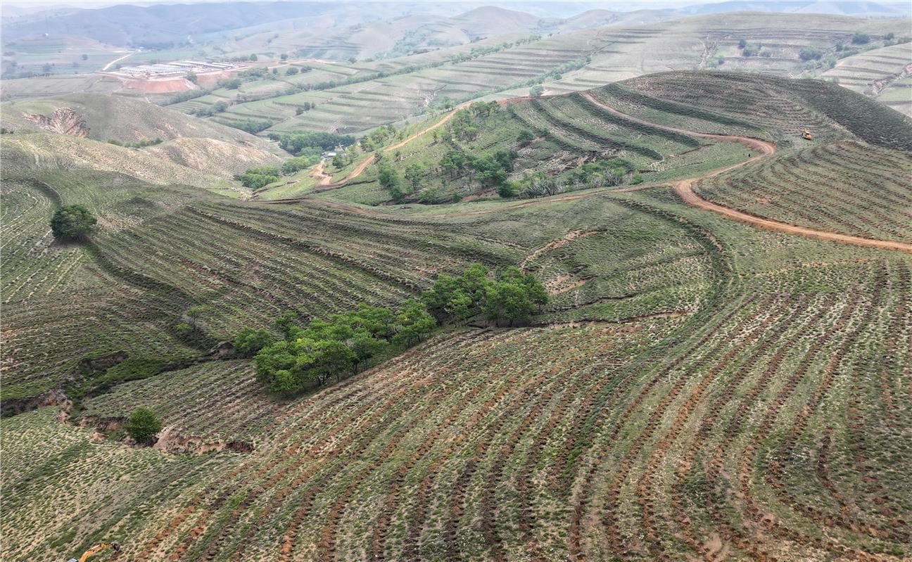 烏蘭察布“三北”防護(hù)林建設(shè)工程全線鋪開