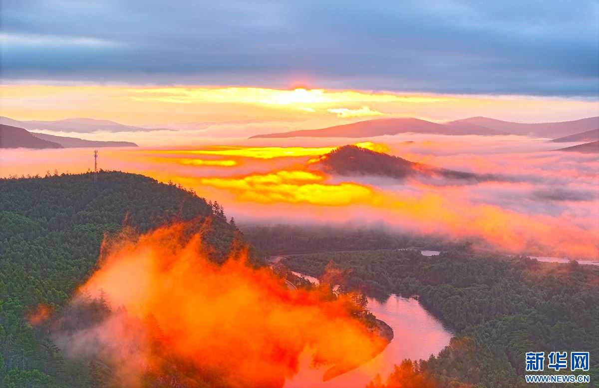 內(nèi)蒙古大興安嶺：“云海”覆“林?！?綺麗如仙境