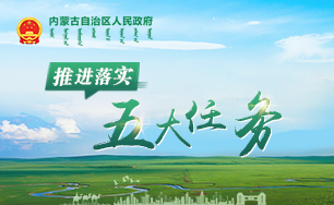 推進落實五大任務(wù)