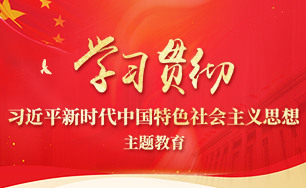 學習貫徹習近平新時代中國特色社會主義思想主題教育