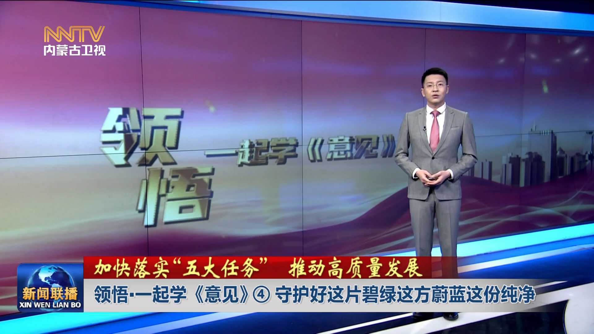 加快落實“五大任務(wù)” 推動高質(zhì)量發(fā)展丨 領(lǐng)悟·一起學《意見》④守護好這片碧綠這方蔚藍這份純凈