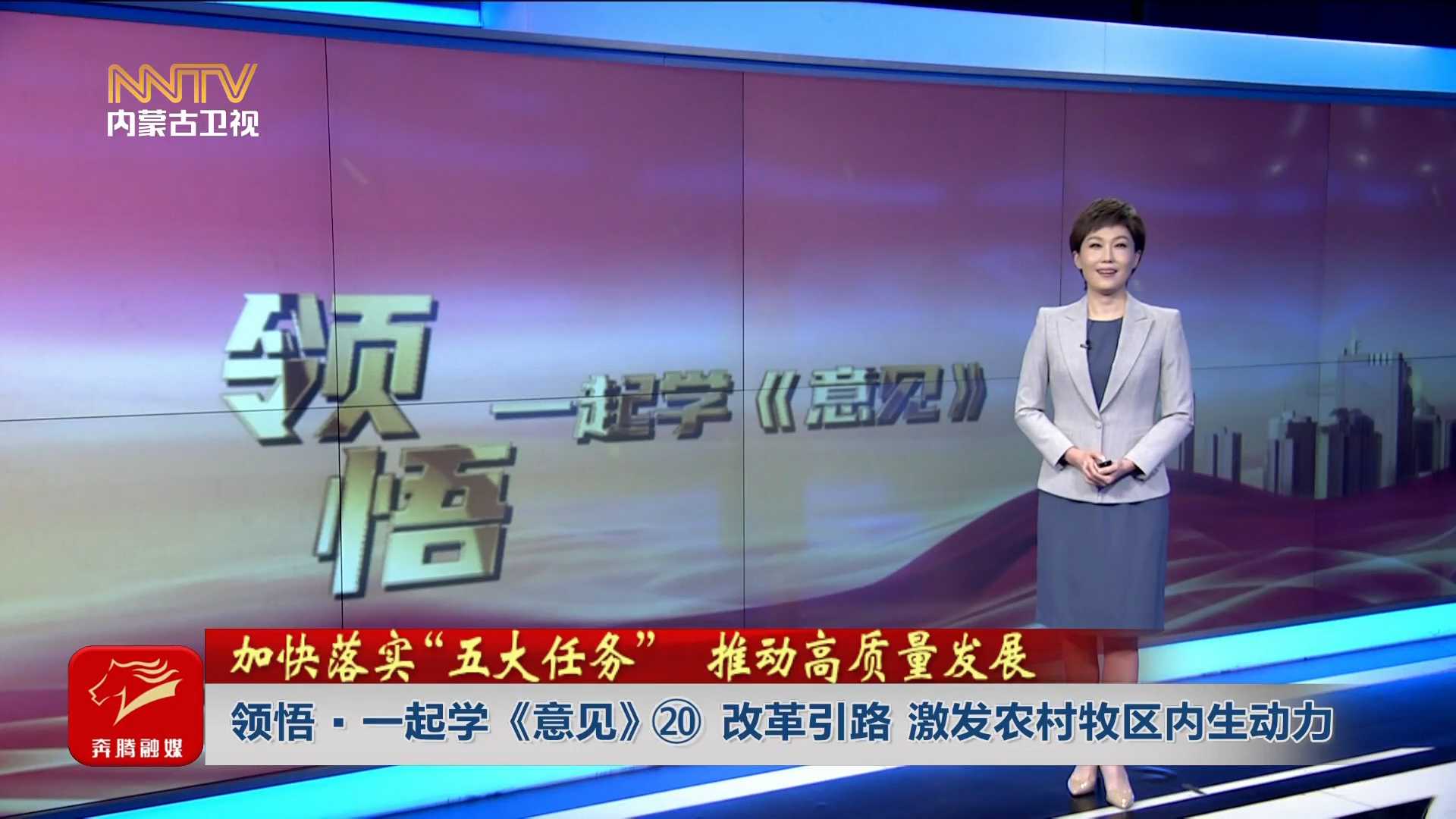 加快落實“五大任務(wù)” 推動高質(zhì)量發(fā)展丨領(lǐng)悟·一起學《意見》? 改革引路 激發(fā)農(nóng)村牧區(qū)內(nèi)生動力