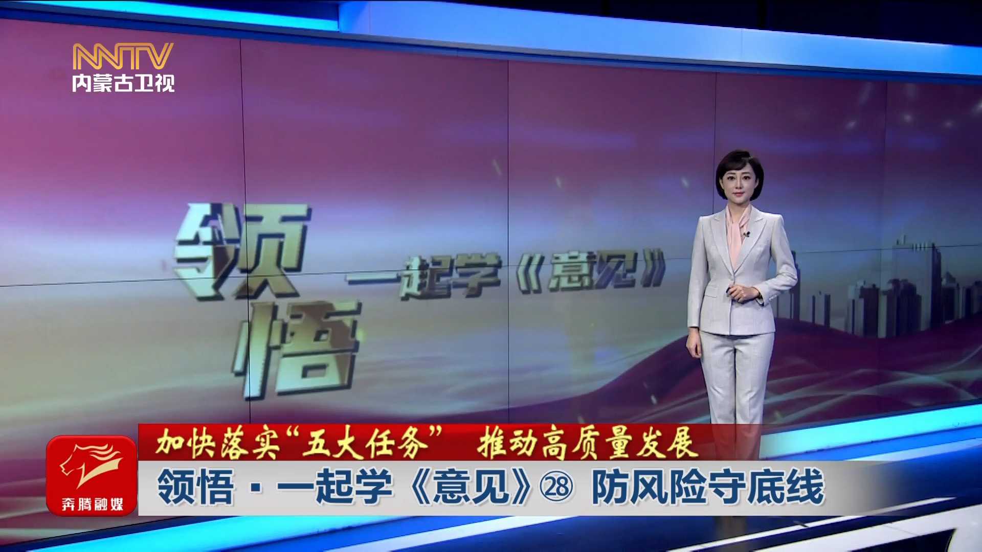 加快落實“五大任務(wù)” 推動高質(zhì)量發(fā)展丨 領(lǐng)悟·一起學《意見》? 防風險守底線